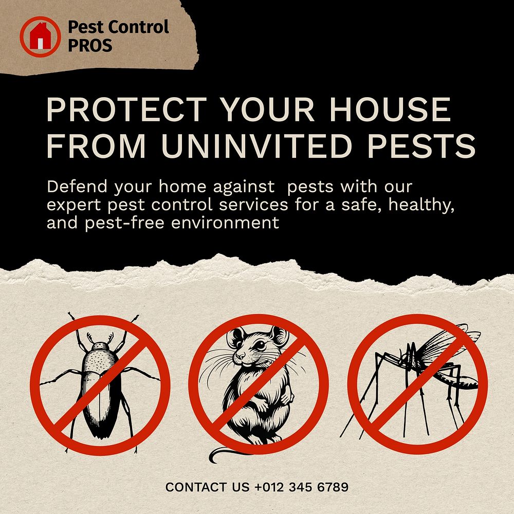 Pest control Instagram post template