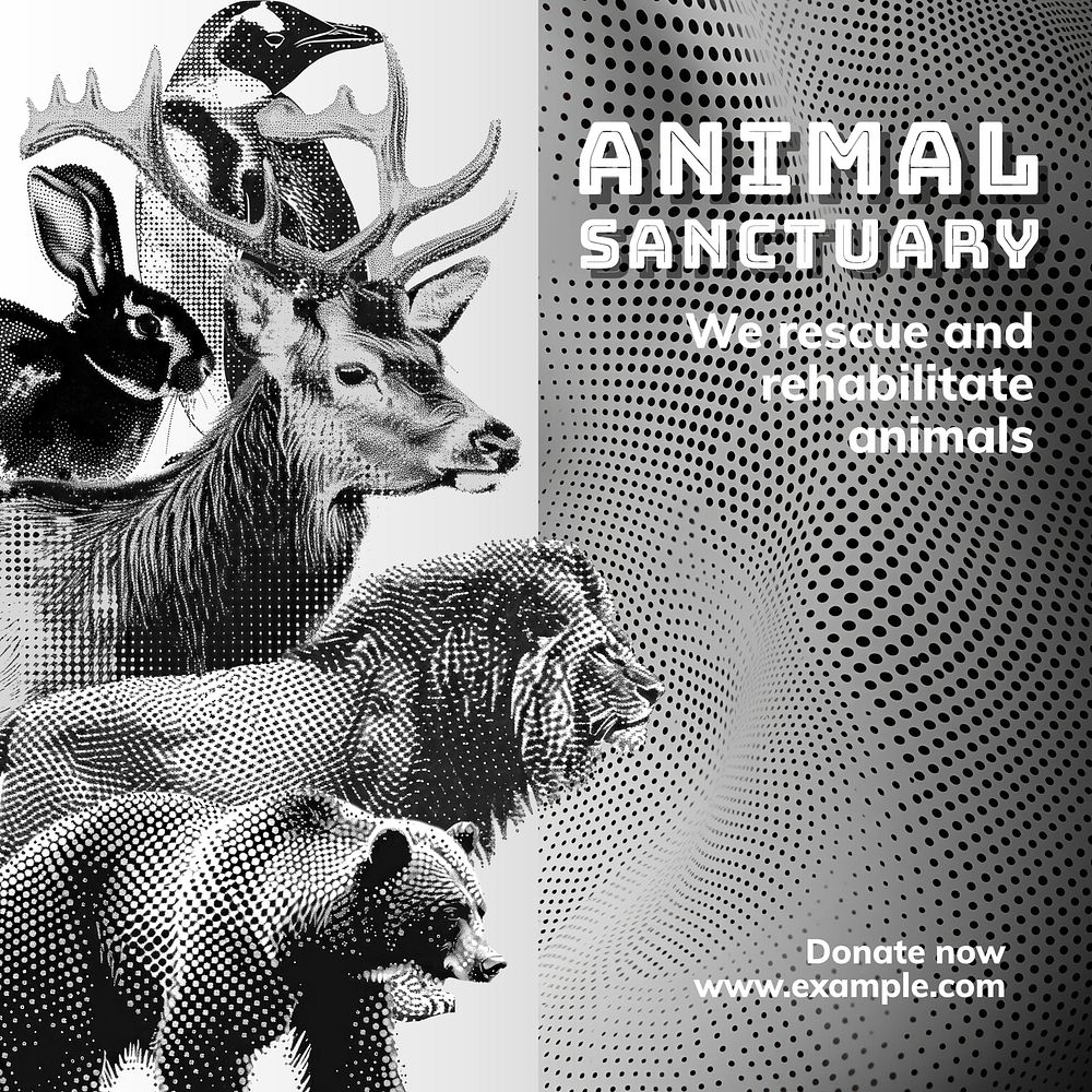 Animal sanctuary charity template