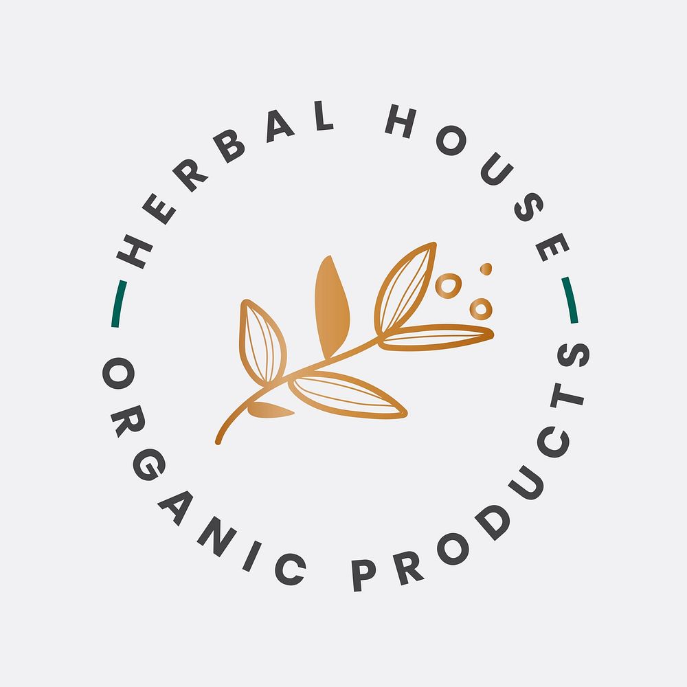 Leaf business logo template   organic product branding