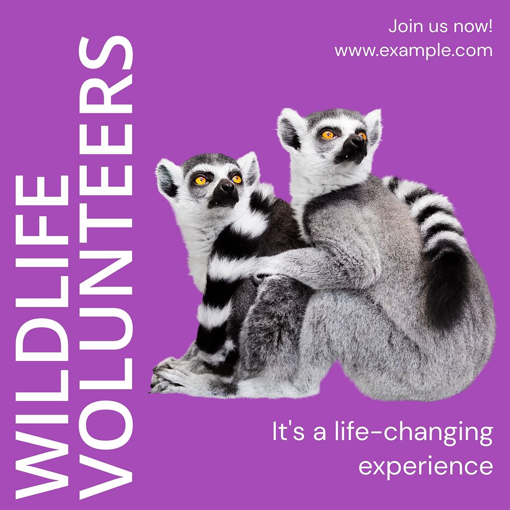 Wildlife volunteers Instagram ad template,  social media post design