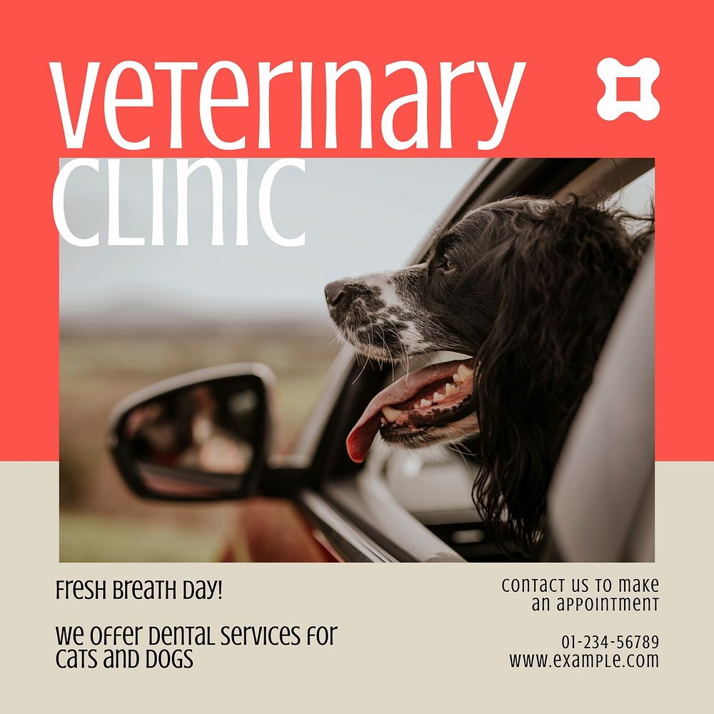 Veterinary clinic Instagram ad template,  colorful design