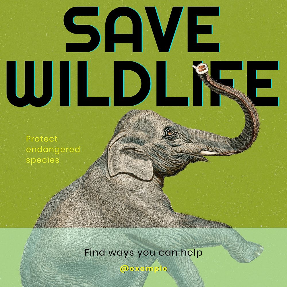 Save the wildlife Instagram post template 