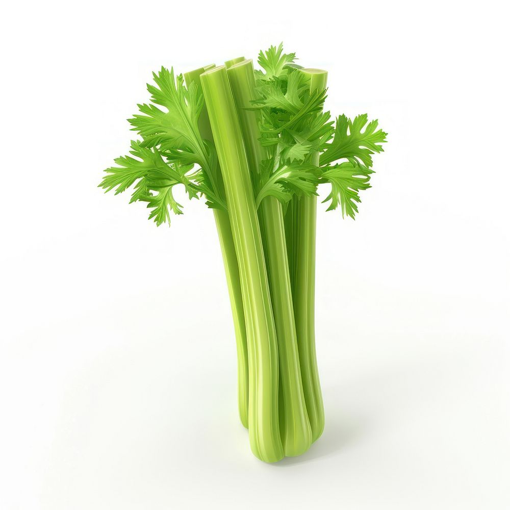 Fresh green celery stalk illustration