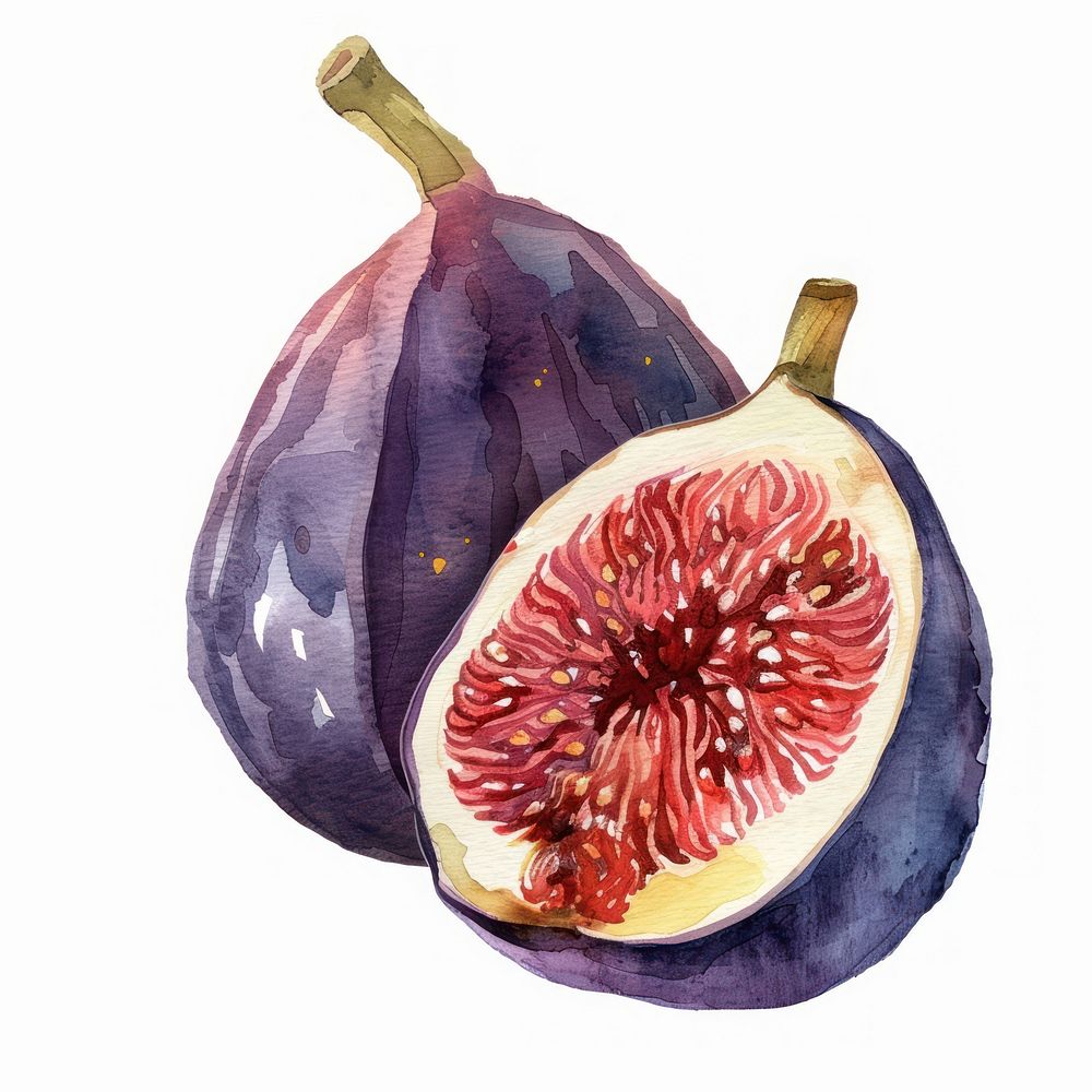 Fig fig produce ketchup.