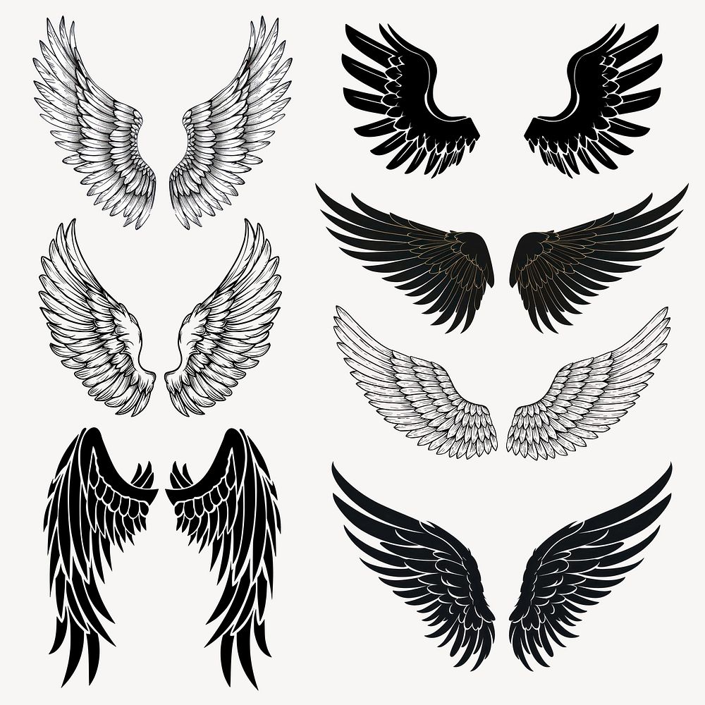 Wing illustration element set