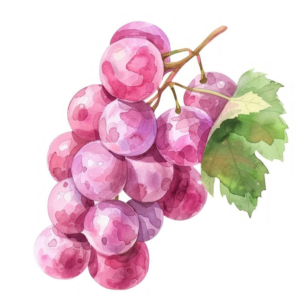 Vibrant watercolor grapes illustration