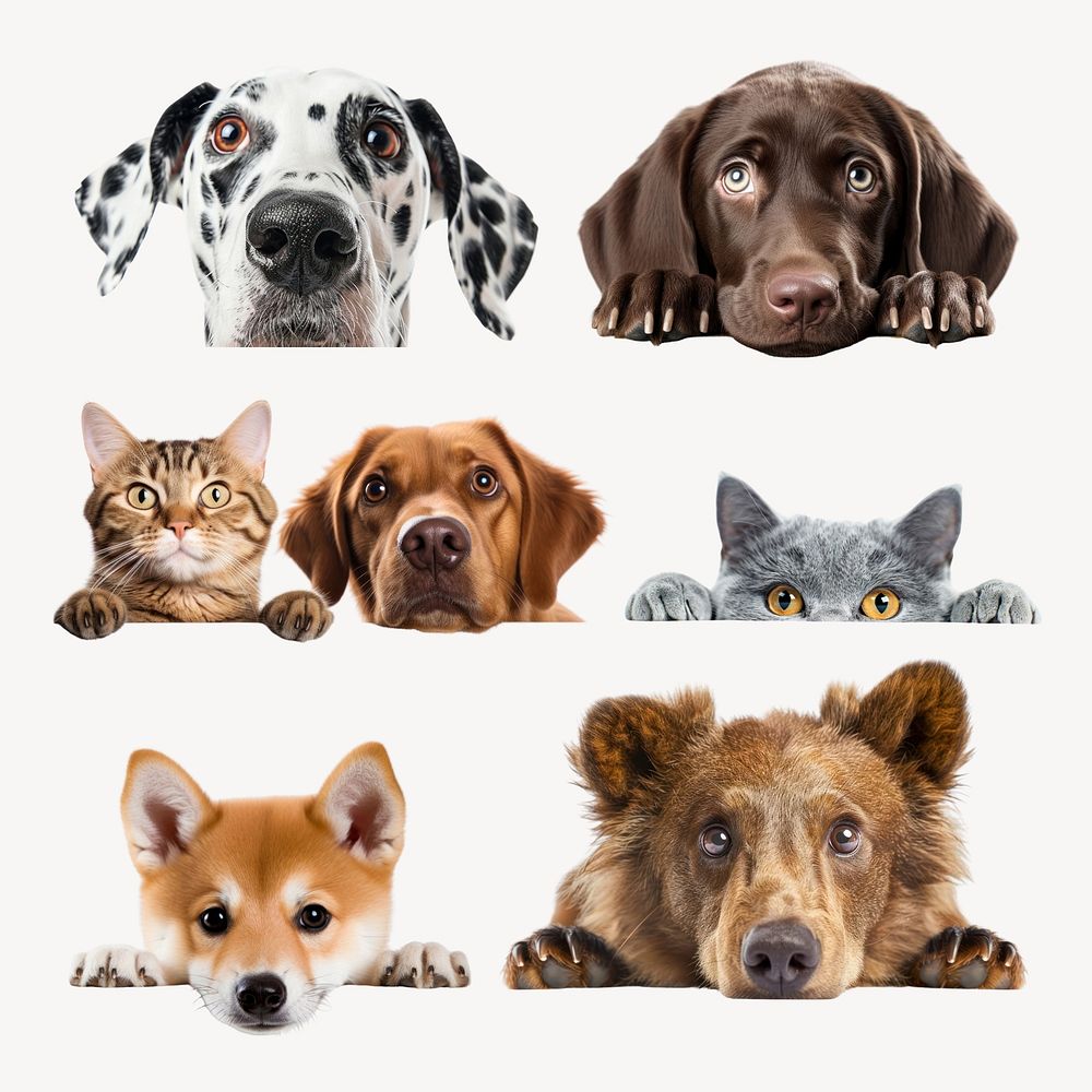 Peeking animals design element set