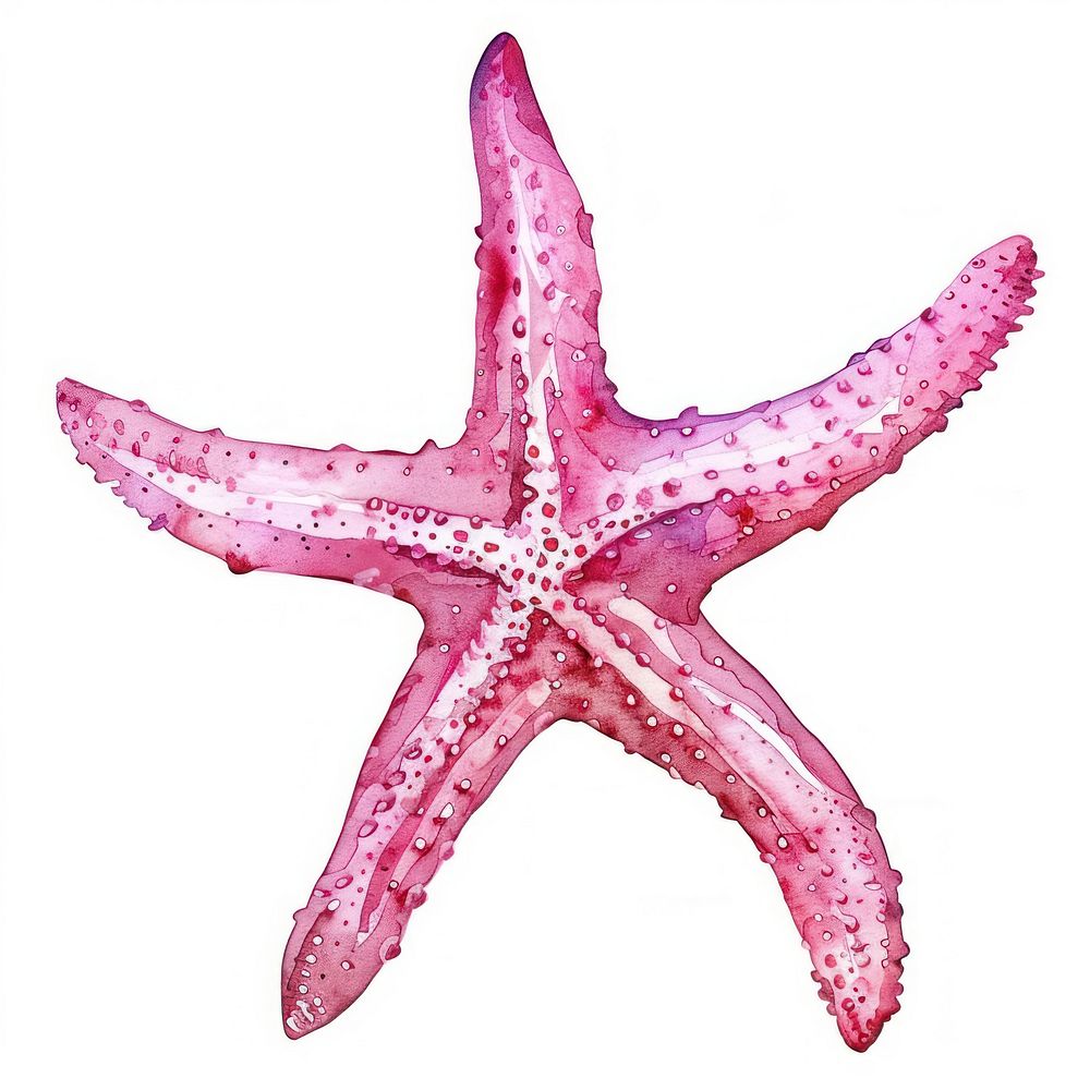 Vibrant watercolor starfish illustration