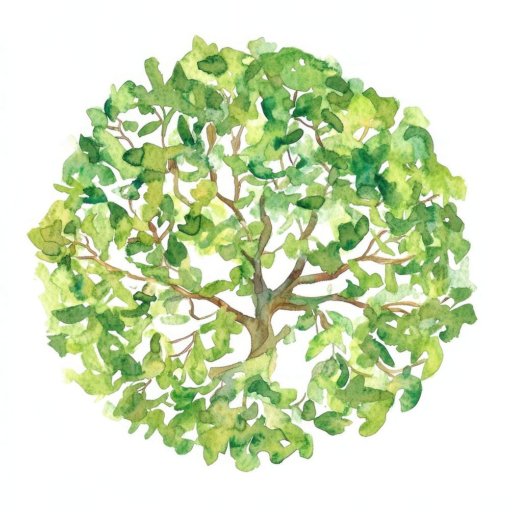 Tree leaves leaf illustration.