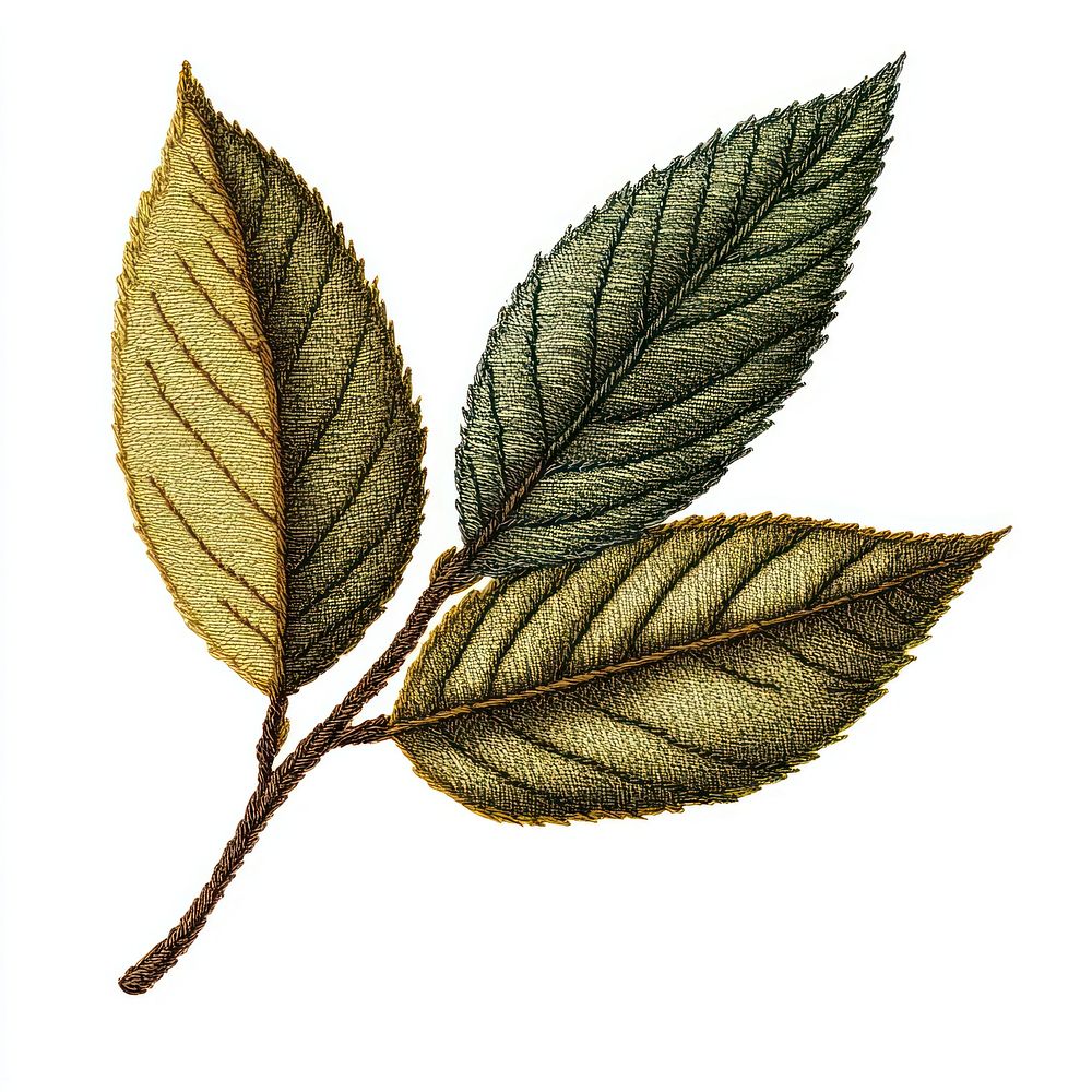 Autumn tea leaf in embroidery style art embroidered annonaceae.