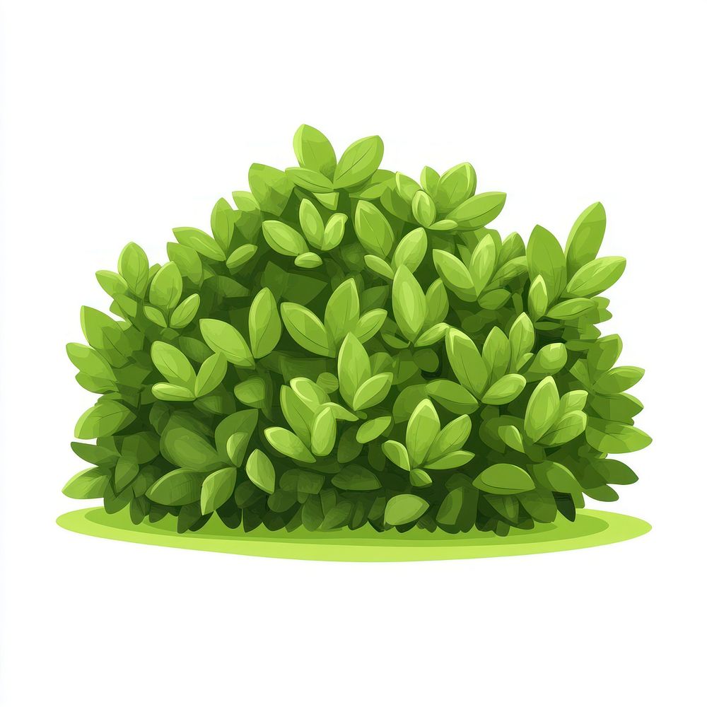 Bushes illustration green plant.