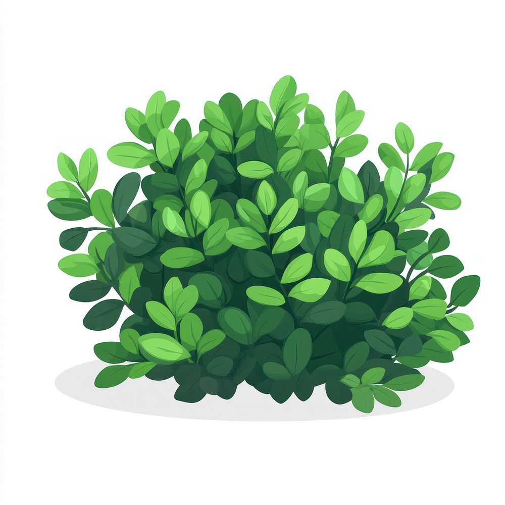 Green bush illustration plant vegetation.