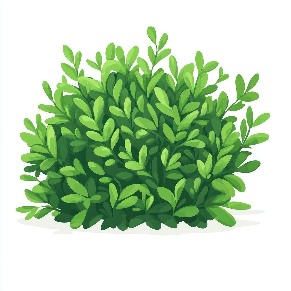 Green bush illustration plant art.