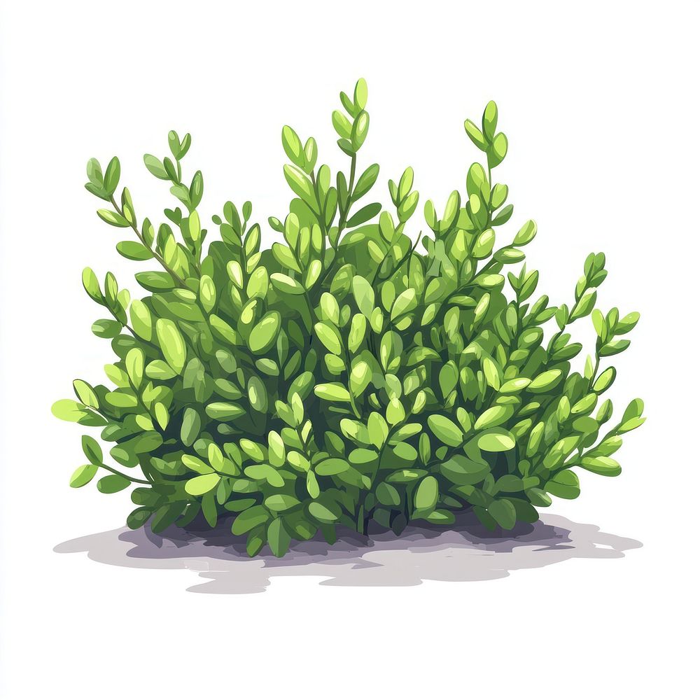 Green shrubs illustration plant art.