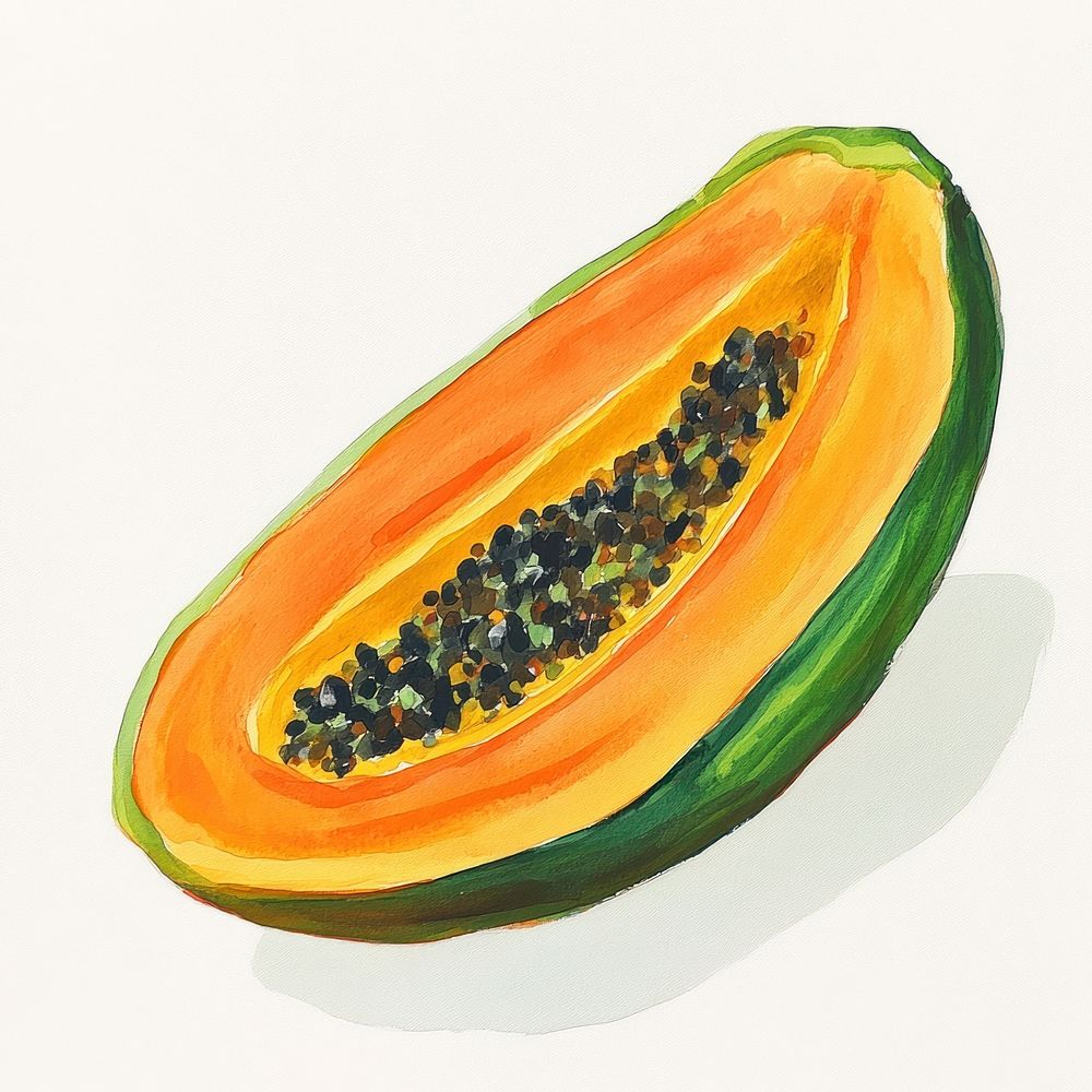 Papaya illustration fruit food.