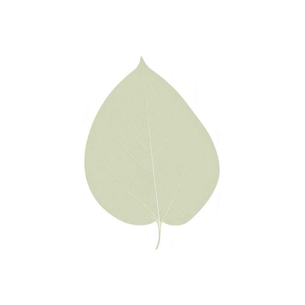 Leaf plant white background pattern. AI generated Image by rawpixel.