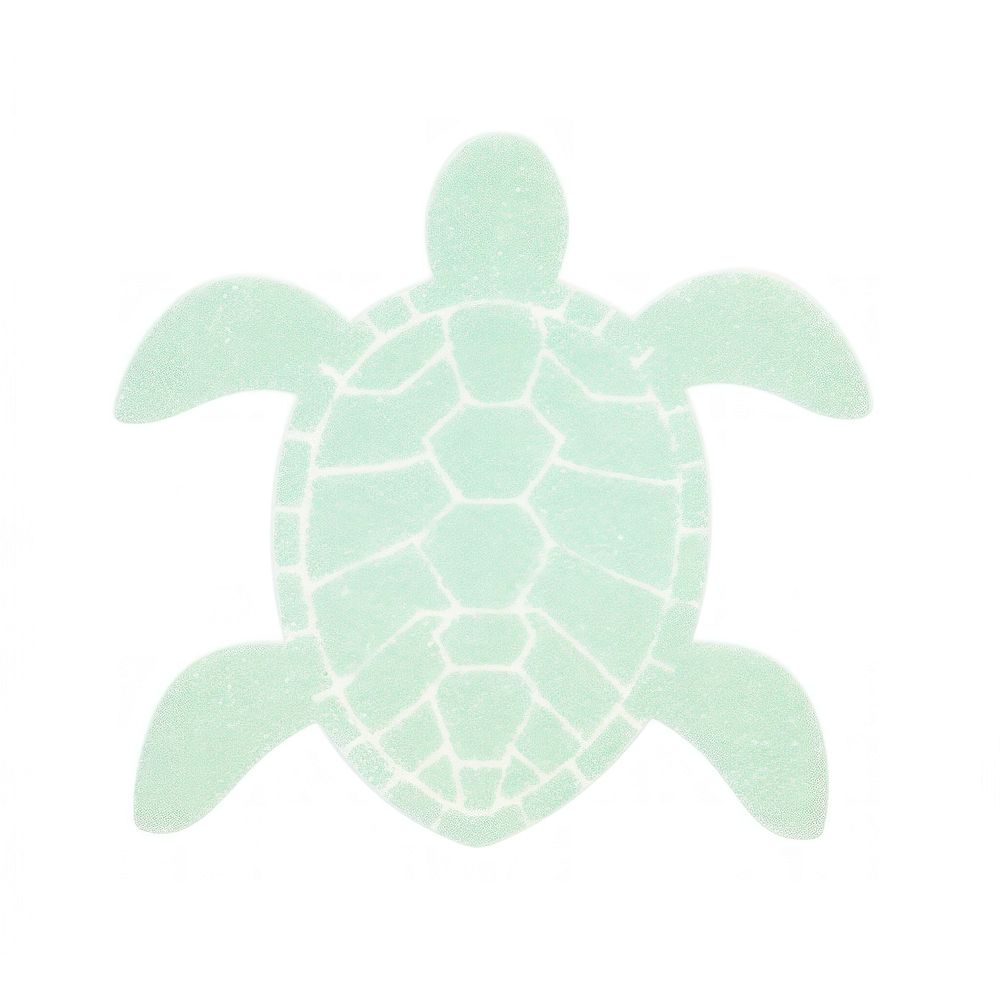 Turtle reptile animal white background. AI generated Image by rawpixel.