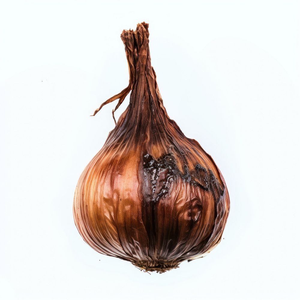 Onion with burnt vegetable plant food.