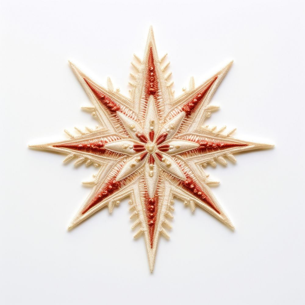 Celestial Star creativity echinoderm christmas.