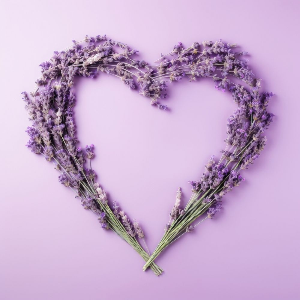 Floral frame lavender flower nature purple.