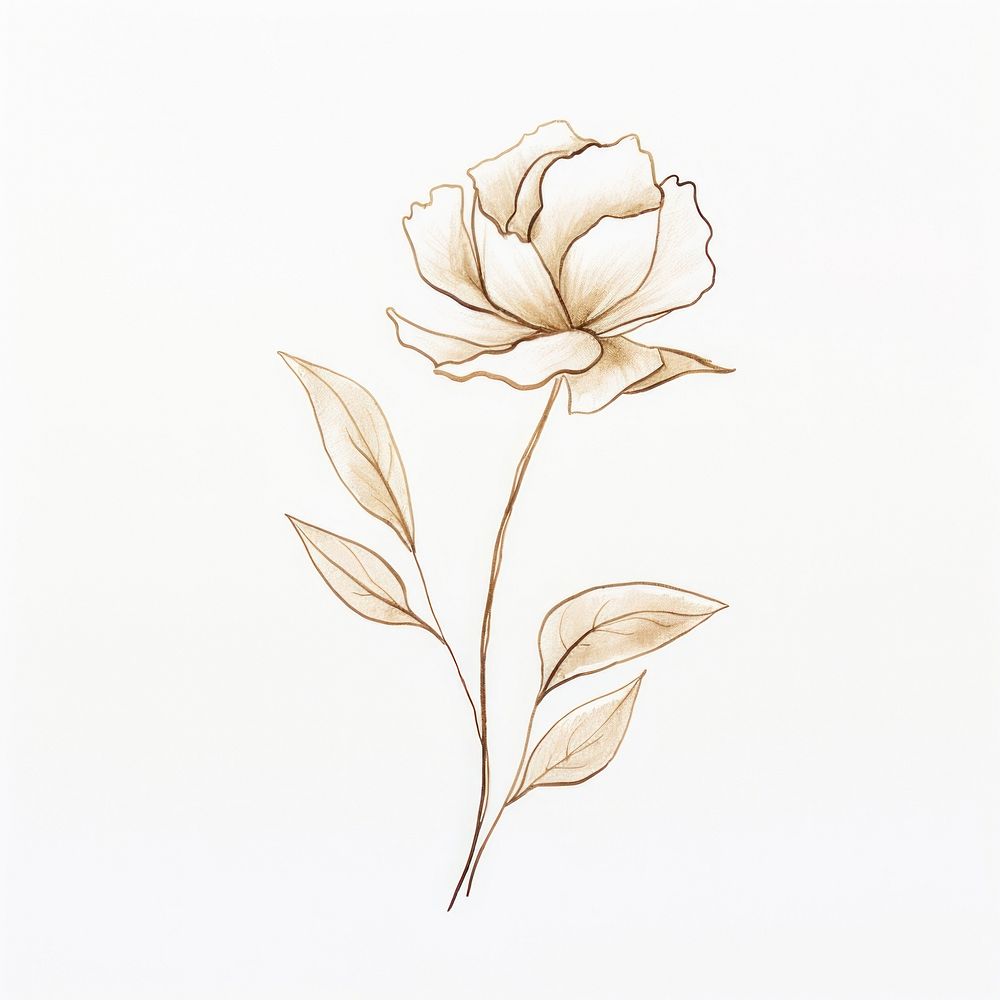 Watercolor flower with gold outline sketch line stroke pattern drawing plant.