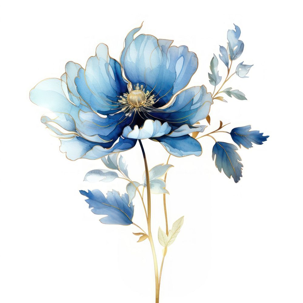 Blue flower watercolor and golden line art blossom petal plant.