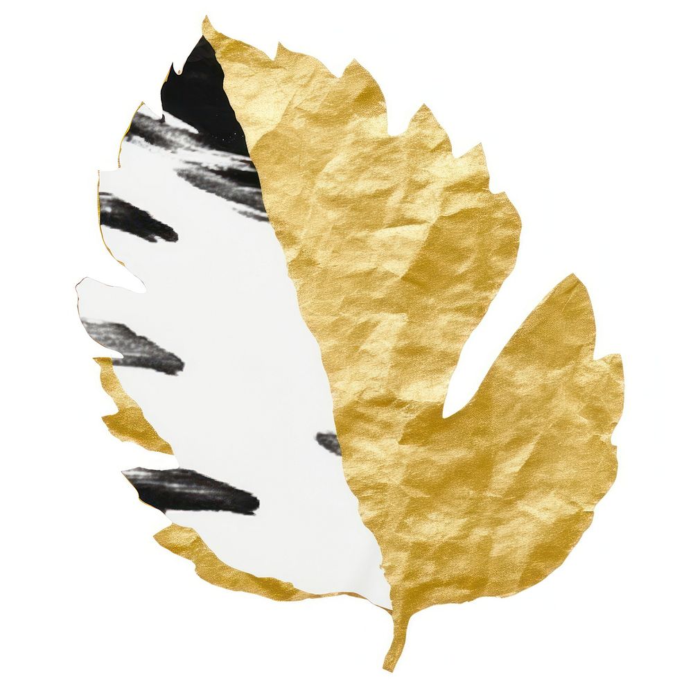 Leaf ripped paper plant white background creativity.