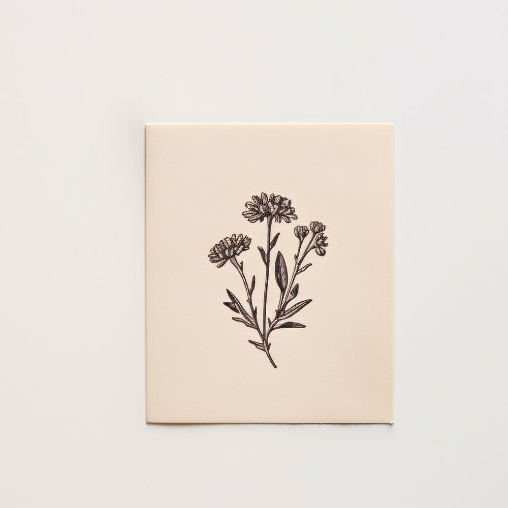 Seal Wax Stamp wildflower print drawing sketch plant.