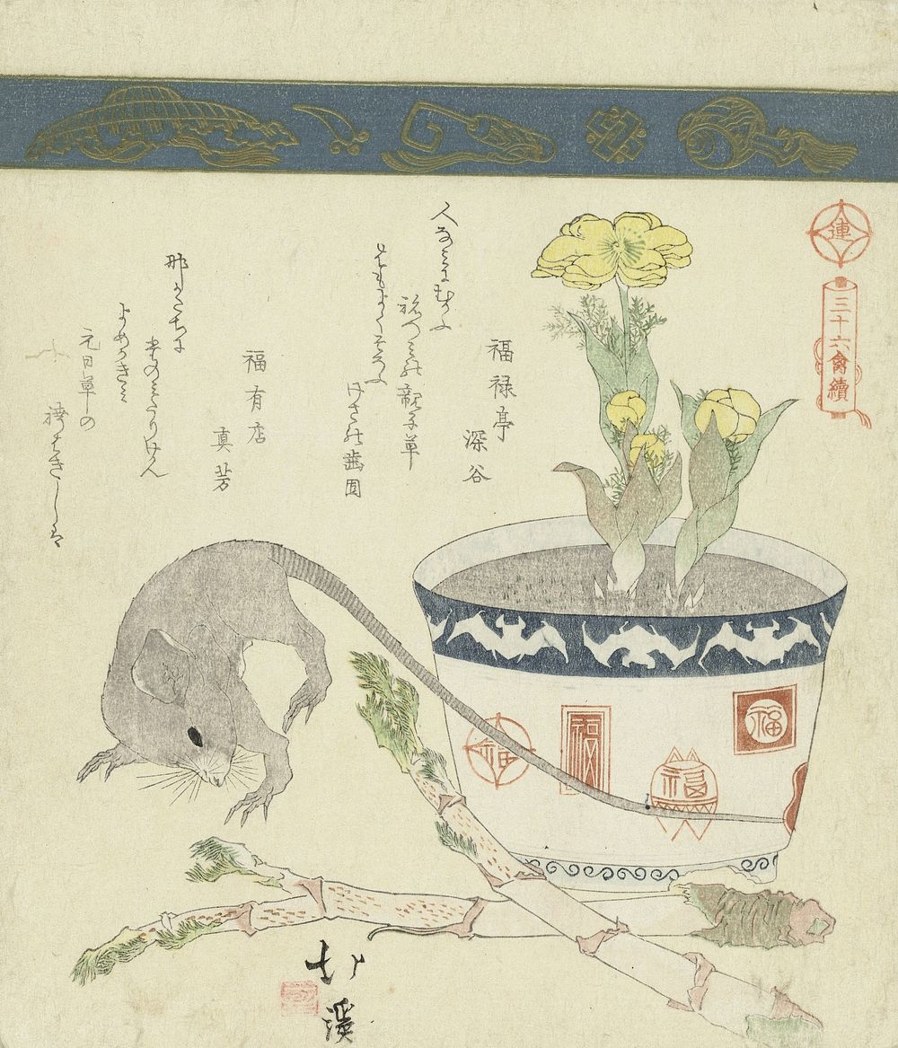 Rat en kom met Adonis (c. 1828) by Totoya Hokkei, Fukurokutei Fukuya and Fukuyûten Mayôshi