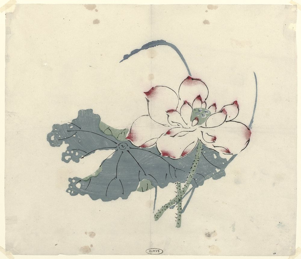 Lotus (c. 1600 - c. 1625) by anonymous and Zhengyen Hu Ten Bamboos Studio