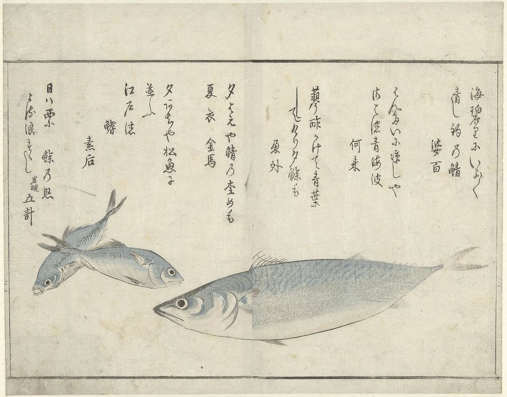 Drie vissen (1775 - 1824) by Kitao Masayoshi