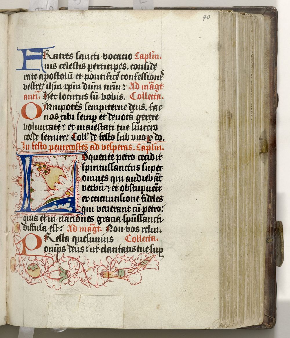 Psalter en brevier (gedeeltes) in het Latijn (1500 - 1600) by anonymous