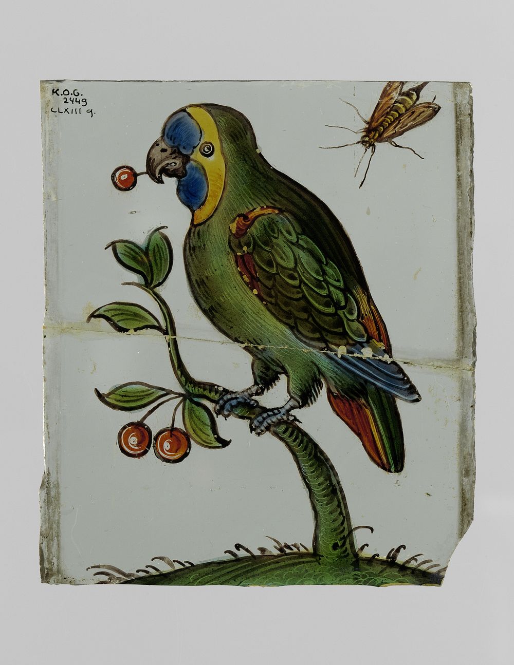 Ruit met vogel en insekt (1700 - 1800) by anonymous
