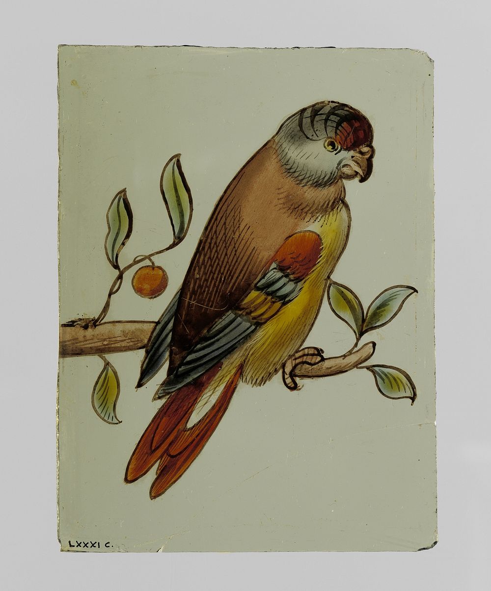 Ruit met een vogel op een tak (c. 1650 - c. 1675) by anonymous