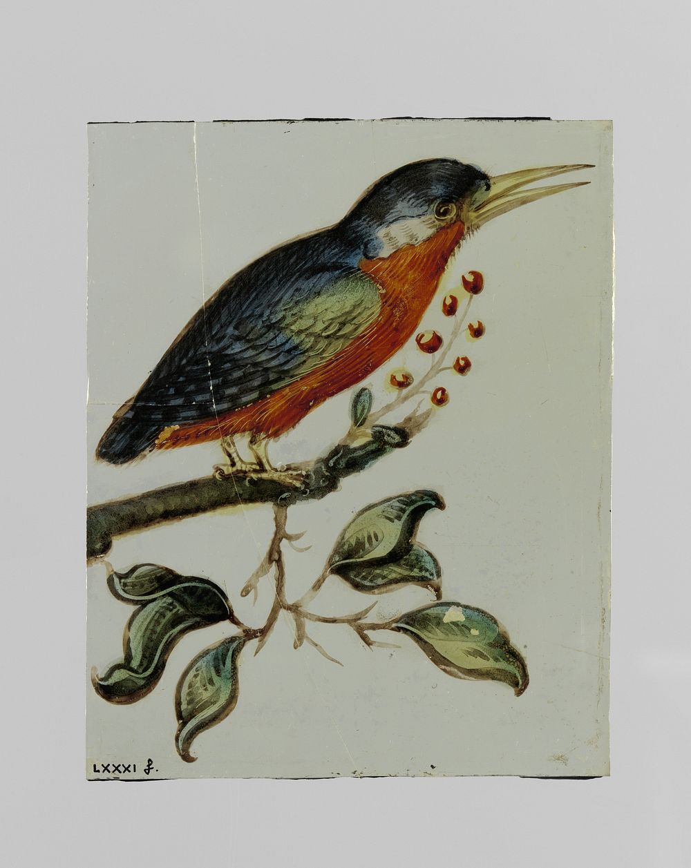 Ruit met een vogel gezeten op een tak met bessen (c. 1650 - c. 1675) by anonymous