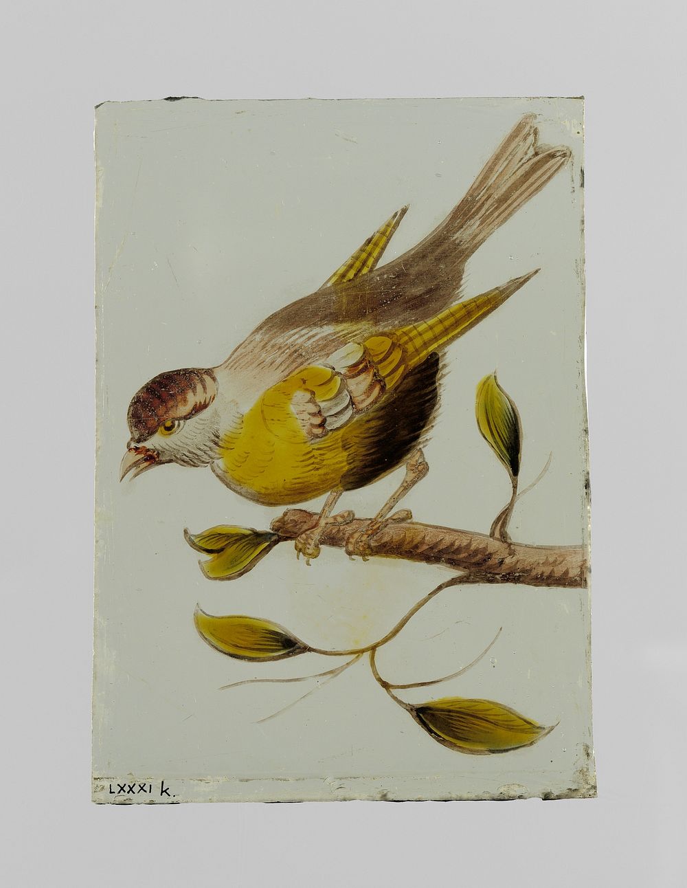 Ruit met een vogel (c. 1650 - c. 1675) by anonymous