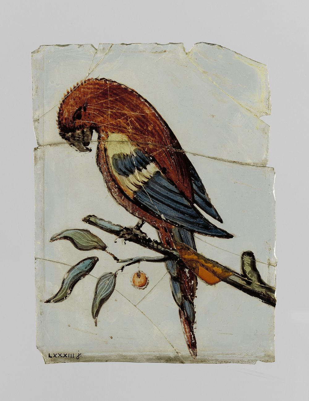 Ruit met een papegaai (c. 1650 - c. 1675) by anonymous