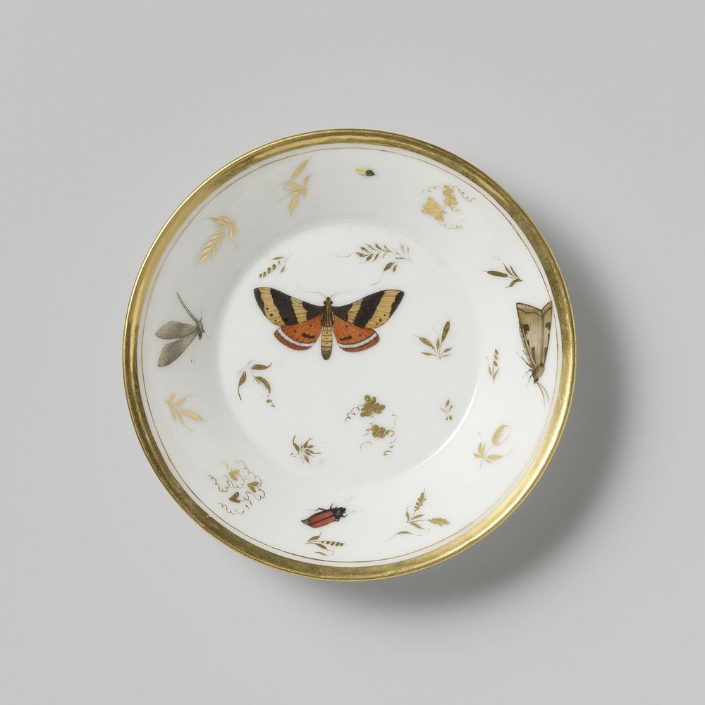Saucer with insects, flower sprays and grapevines (c. 1797 - c. 1798) by Rue Thiroux Parijs