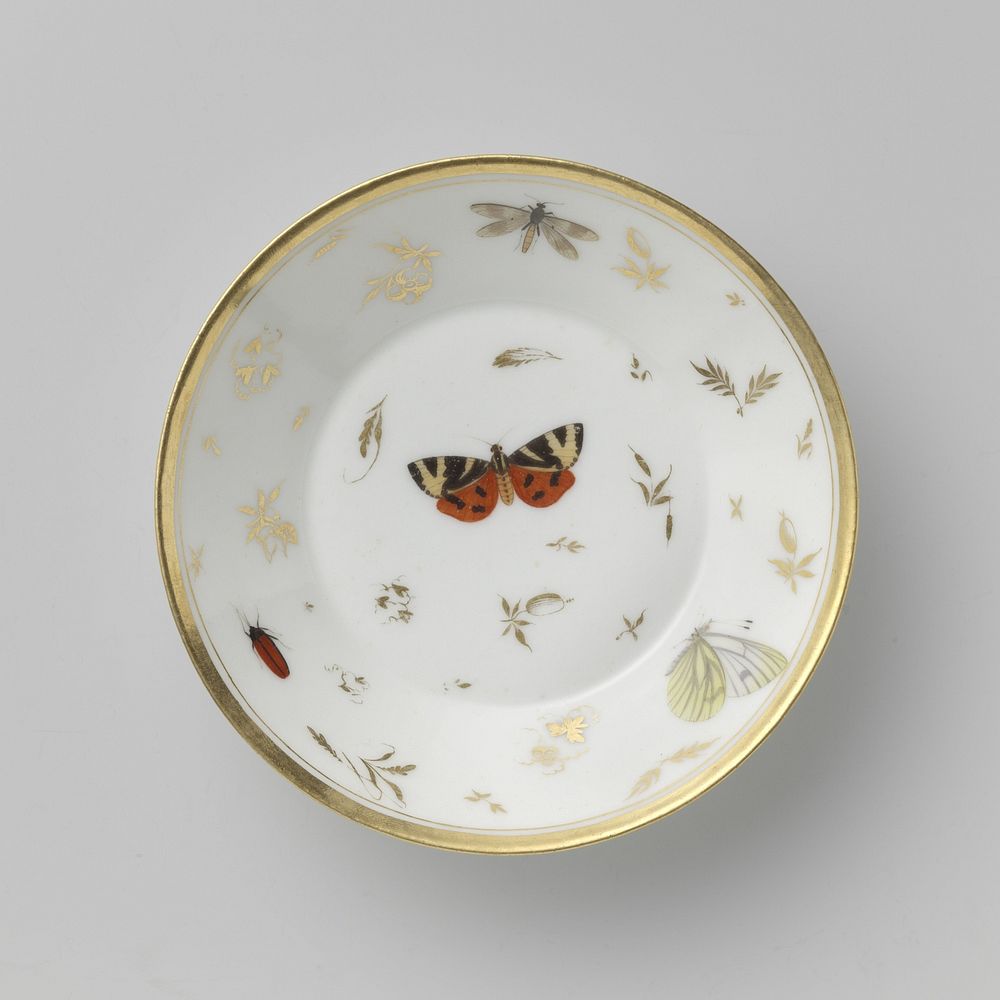 Saucer with insects, flower sprays and grapevines (c. 1797 - c. 1798) by Rue Thiroux Parijs
