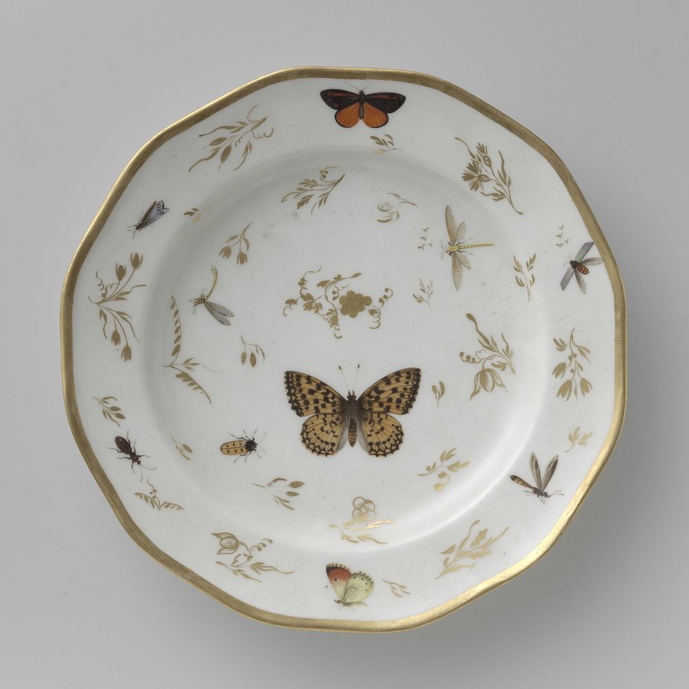 Plate with insects, flower sprays and grapevines (c. 1797 - c. 1798) by Rue Thiroux Parijs