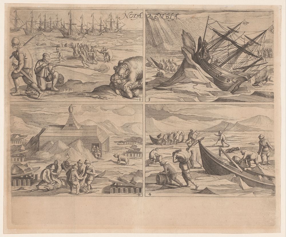 Nova Zembla (1615 - 1650) by anonymous