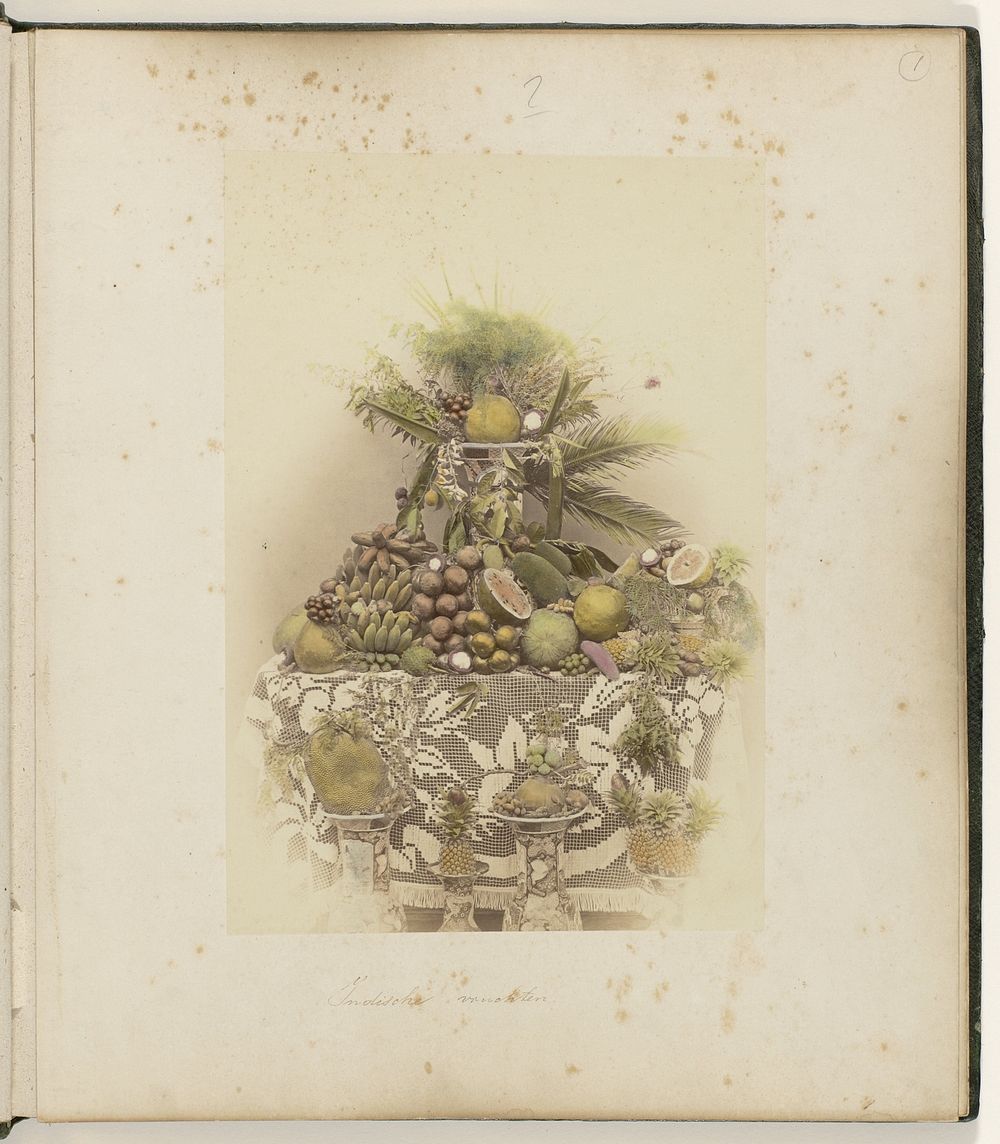 Indonesische vruchten (1863 - 1866) by Woodbury and Page
