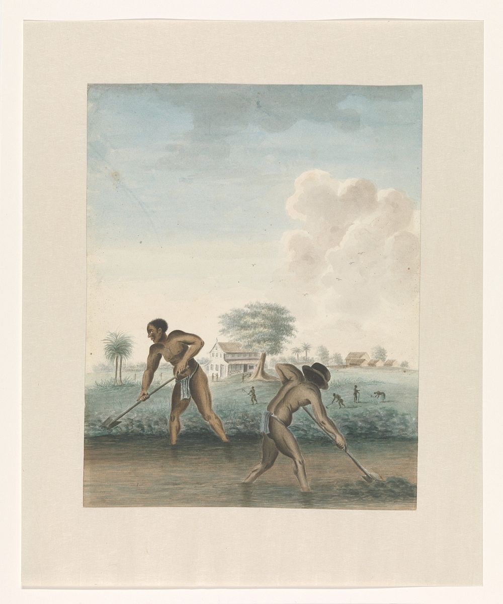 Tot slaaf gemaakte mannen werken op het land (c. 1850) by anonymous