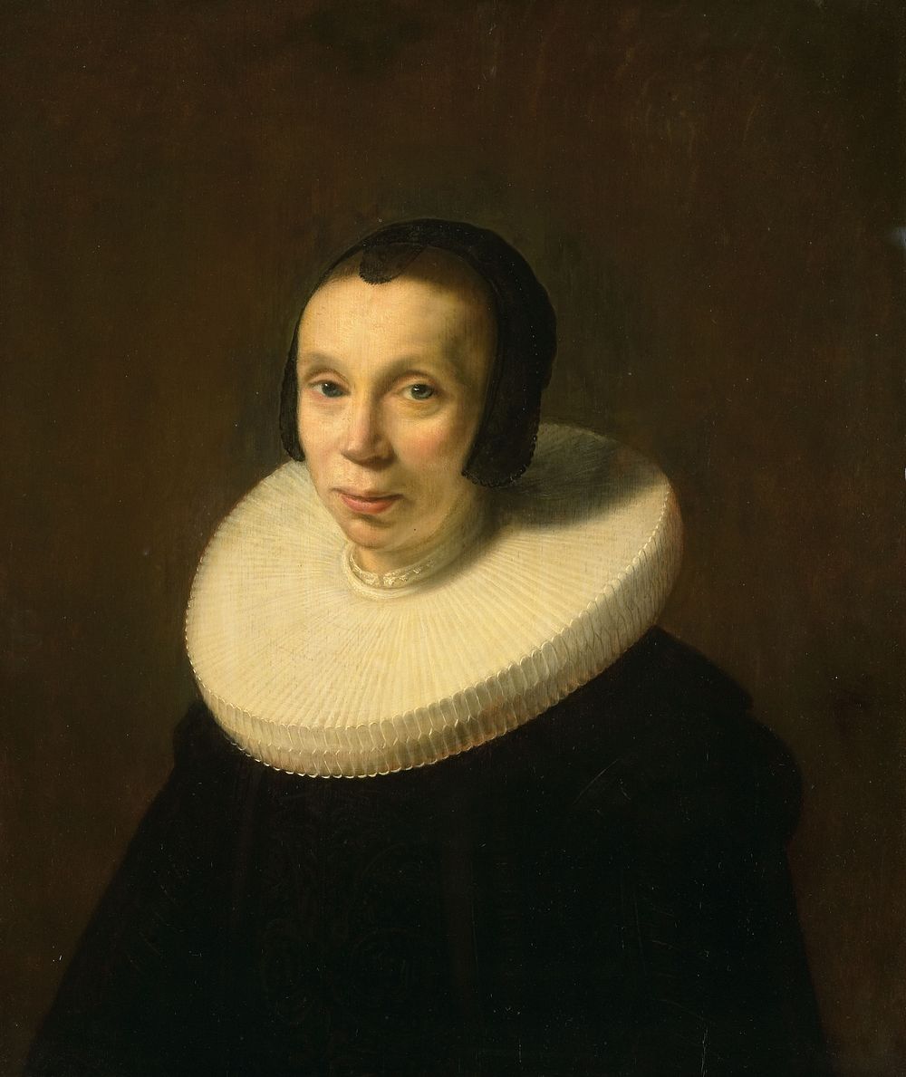 Portrait of a Woman (c. 1642) by Abraham de Vries