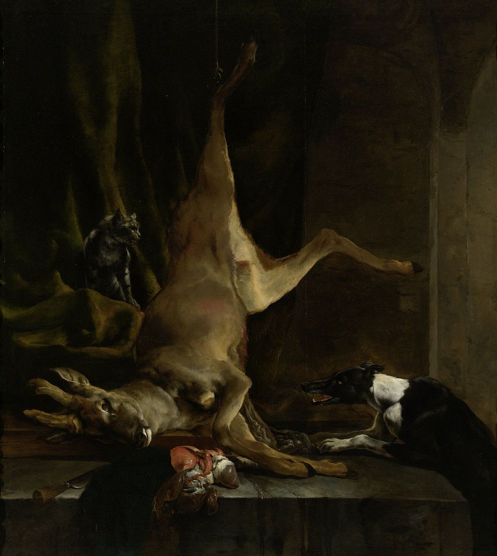 A Dog and a Cat near a partially disembowelled Deer (1645 - 1660) by Jan Baptist Weenix