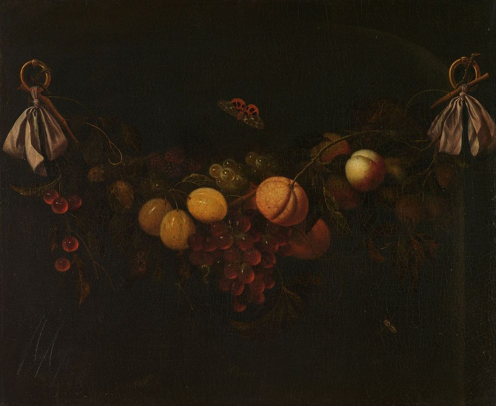 Festoon of Fruits (c. 1653 - c. 1658) by Johannes Borman
