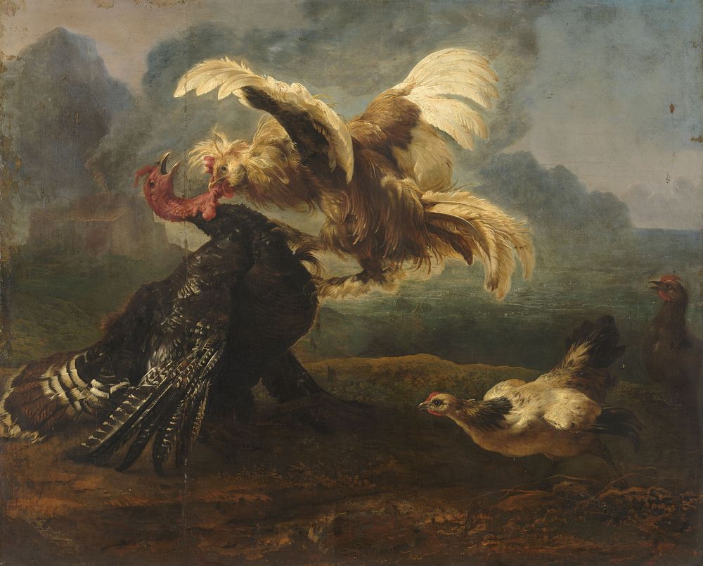 The Flemish Cock and the Turkish Cock (c. 1650) by anonymous