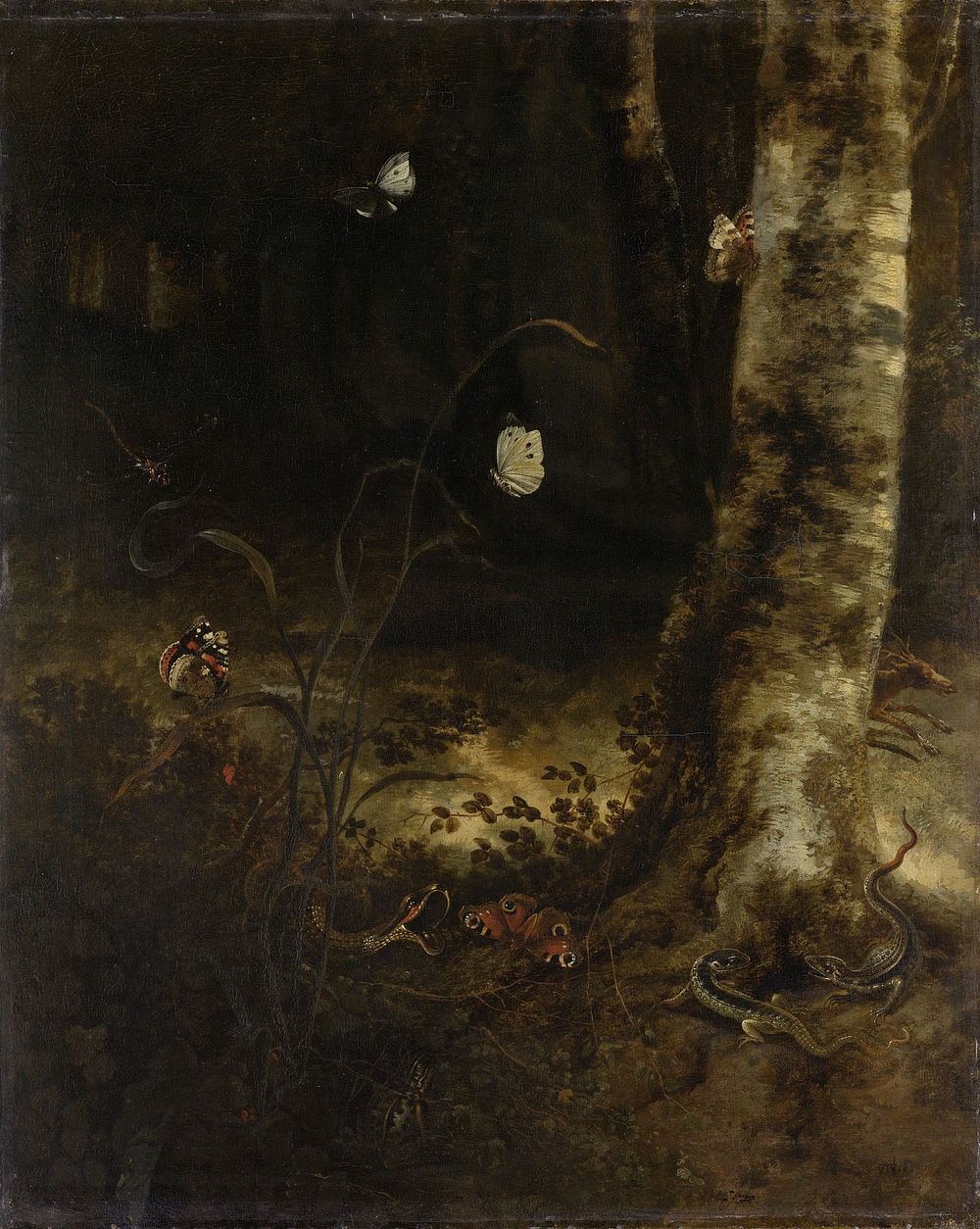 Forest Floor with a Snake, Lizards, Butterflies and other Insects (1650 - 1678) by Otto Marseus van Schrieck