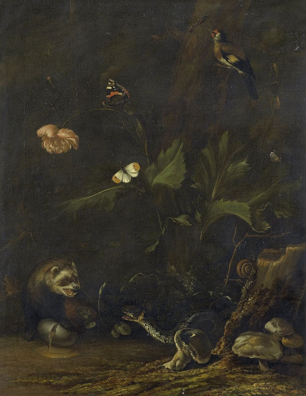 Animals and Plants (1650 - 1677) by Anthonie van Borssom