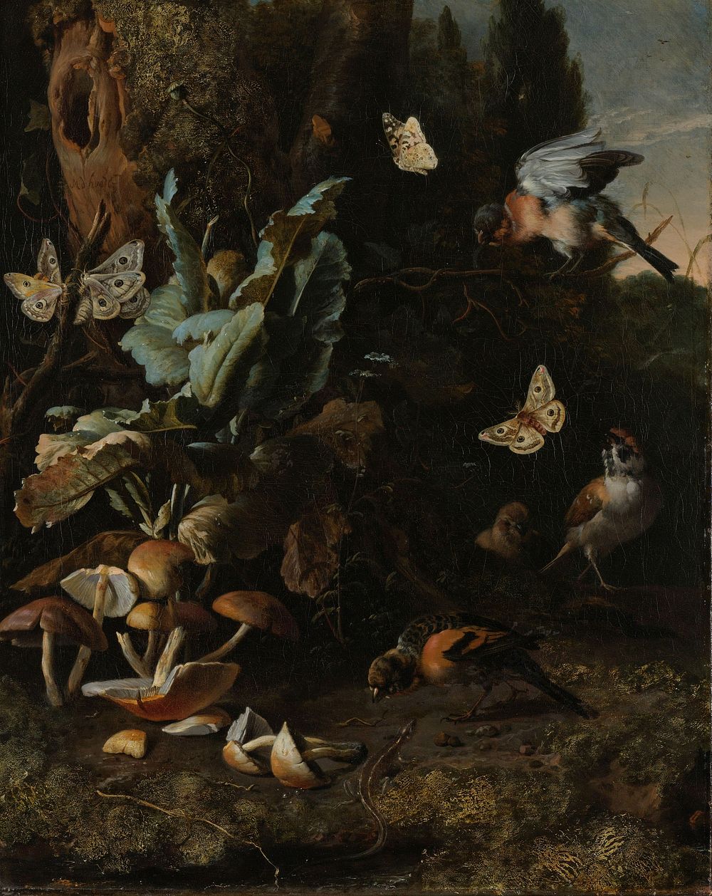 Animals and Plants (c. 1668) by Melchior d Hondecoeter